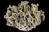 Calcite Stalactite Formation - Morocco #100994-1